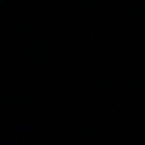 Meet your Posher, Lizzie